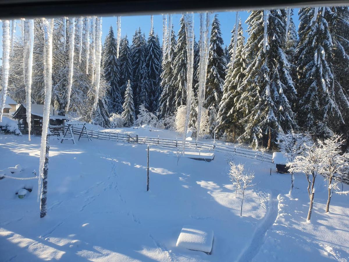 Planinska Koliba Ajdanovici Jelovac Nisicka Visoravan Olovo  ภายนอก รูปภาพ
